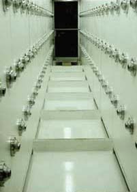 Air Showers Air Showers